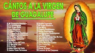 Alabanzas a la Virgen de Guadalupe🙏💐 40 Cantos A La Virgen De Guadalupe
