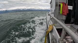 Southeast Alaska Gillnetting Vibes - No Commentary