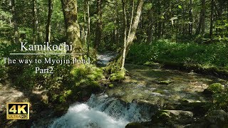 【明神自然探勝道】上高地 明神池への道のり-Kamikoch Azusa-gawa River:The way to Myojin Pond（Part2）