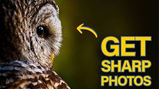 Why Your Photos Aren’t SHARP - Heres how to Fix It!