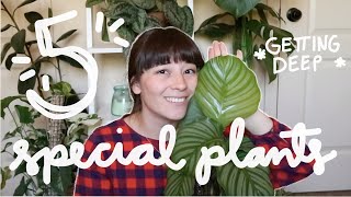 5 Plants I’ll Never Get Rid Of | My Most Sentimental Plants