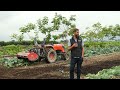 no till farming field day at local harvest farm