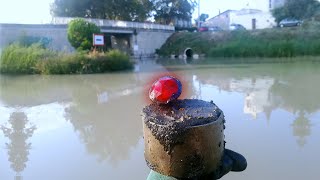 Pêche à l'aimant : Etonnants objets sortis du canal à Béziers