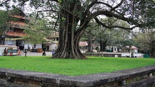 Arayal mandapam kulichu thozhuthu nilkkum edavappathi...