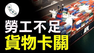 美西雙港百船擁堵 進口貨物運輸受影響