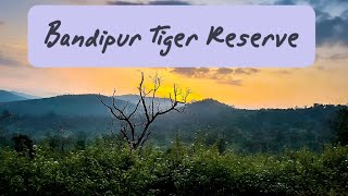 Bandipur Tiger Reserve,  Karnataka