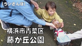 横浜市青葉区「藤が丘公園」から「藤が丘駅」へマヨナンロールを求めて～の散歩です(^o^)