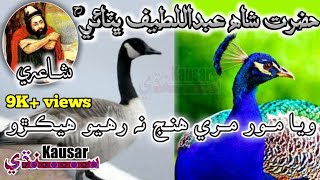 Sindhi Poetry of Hazrat Shah Abdul Latif Bhitai | Sindhi WhatsApp Status | Voice M.Bachal Shanbani
