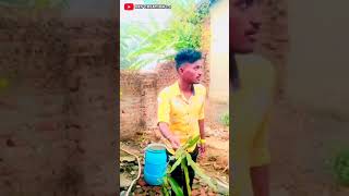 ଲୋଲୋ ଛୁଆ...😂🐐🐑 Sambalpuri comedy || Dev creation 2.0 || Funny video #shortfeed #shorts #comedy#viral