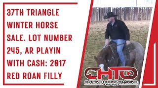 37th Triangle Winter Horse Sale. Lot Number 245, AR Playin With Cash: 2017 Red Roan Filly