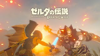 ゼルダの伝説botw 盾サーフィン初級 35 67 Wr ゼルダの伝説botw 盾サーフィン初級 35 67 Wr