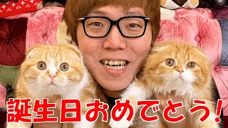 【大長編】まるおもふこ誕生日おめでとう！まるおもふこ出演シーン集【祝4歳】【猫】【ヒカヌキン】【ヒカキン切り抜き】