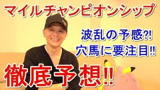 【わさお】マイルチャンピオンシップの予想!!【競馬予想】