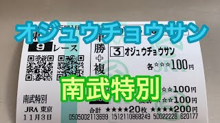 2018.11.3.南武特別.オジュウチョウサン！