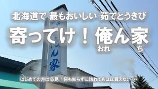 俺ん家のとうきび -初夏、北海道で最も美味しい茹でとうきび-