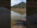 persiapan sawah mina padi