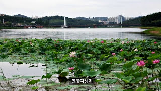 은파호수공원의 사계