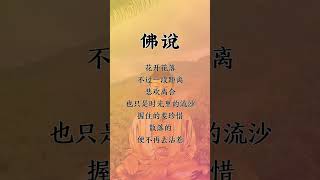 世间万物皆有因果，愿你一切安好