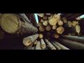 DREWNEX Domy drewniane - Producent domów z drewna