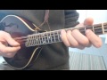 Turkey In The Straw (With Tabs) - Mandolin Lesson