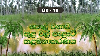 QR 18 -පොල් වගාව තුළ වල් පැළෑටි කළමනාකරණය