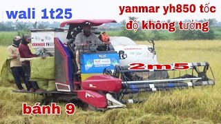 XEM MÁY CẮT LÚA YANMAR YH850 BINH CHẠY TỐC ĐỘ CỰC NHANH QUÁ BỐC