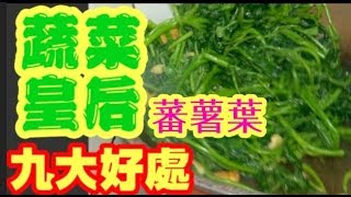 蕃薯葉 蔬菜皇后九大好處 鐵質高 炒得翠綠 有秘笈                    Sweet potato leaves 番薯葉 地瓜葉