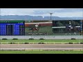 【スタンド目線のＧⅠ】 菊花賞2019 ◇ 生観戦（拍手・手拍子・大歓声）！ ◇ horse racing