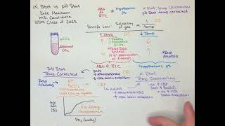 Alpha Stat vs. pH Stat by Kylie Meacham, MD Candidate Class of 2025