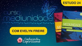 Estudo 24 - Obsessão: causas, graus e tipos; fase 6 - Espíritos sofredores