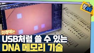 [핫클립] DNA에 음악을 저장한다? / YTN 사이언스