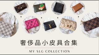 小皮具合集【翠西测评】Good, Bad, Ugly，他们仍然值得买吗? #louisvuitton #chanel #ysl #bottegaveneta #hermes