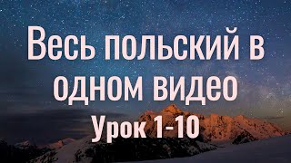 Весь польский за 100 уроков. Польские слова и фразы. Польский с нуля. Польский язык. Часть 1-10