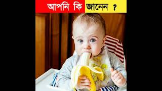 আপেল এর মধ্যে ৮৪ ভাগ জল থাকে 😱| Bangla Mysterious Fact #shorts #shorts #banglafacts #short