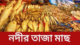 নদীর তাজা মাছ | সামুদ্রিক মাছ | পেয়ে যাবেন রাজধানী কাওরান বাজারে | River Fish | Sea Fish |