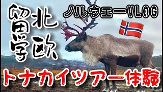 ノルウェーのリアルトナカイと戯れた気になれるVLOG【字幕ONに】