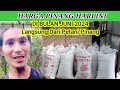 HARGA PINANG HARI INI Di BULAN JUNI 2024 LANGSUNG DARI PETANI PINANG