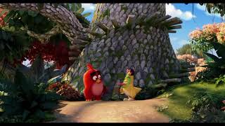 Angry birds clips(2)