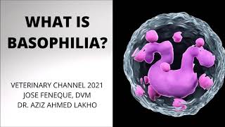 Basophilia: A Quick Review For The Veterinary Student