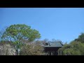 ウェザーリポート動画0416＠東京都港区芝公園 増上寺・9時30分頃