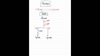 Glycolysis เฉพาะพลังงาน ATP