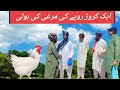 Aik kror rupay ki murghi ki boli | funny | Star1 Production