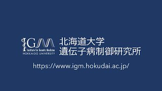 【所長挨拶＆研究所紹介】IGM紹介｜北海道大学遺伝子病制御研究所