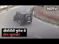 Sidhu Moose Wala की हत्या से कुछ मिनट पहले का CCTV Footage आया सामने