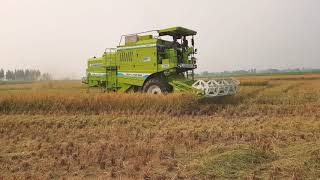 SURINDERA 930 Dx - Self Combine Harvester by SURINDERA AGRO Industries, Nabha, Punjab, INDIA.