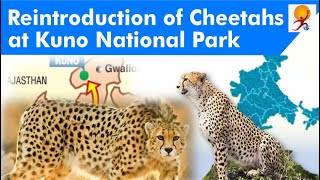 Why to Reintroduce Cheetah? Status of Cheetah. Why Kuno National Park? What is a National Park?