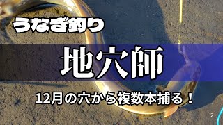 【うなぎ釣り】季節問わずしてウナギを求める自穴師。１２月上旬の穴はどう攻略するのか！？