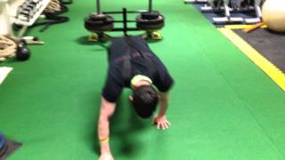 255 Kg Bear crawl sled drag