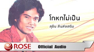 โกหกไม่เป็น - สุชิน สินส่งเสริม (Official Audio)