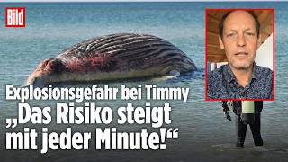 Wal-Experte Fabian Ritter warnt: Explosion von Timmy sollte dringendst vermieden werden!